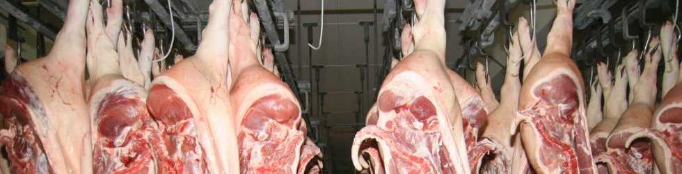 Schweinehälften